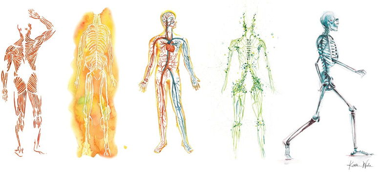 Fascial Counterstrain of the Musculoskeletal System